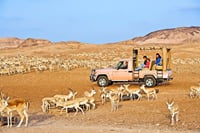 Nature and Wildlife Drive with Lunch- Must do Experience 2