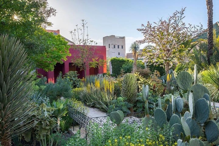 Discover Majorelle & Marrakech Gardens Tour