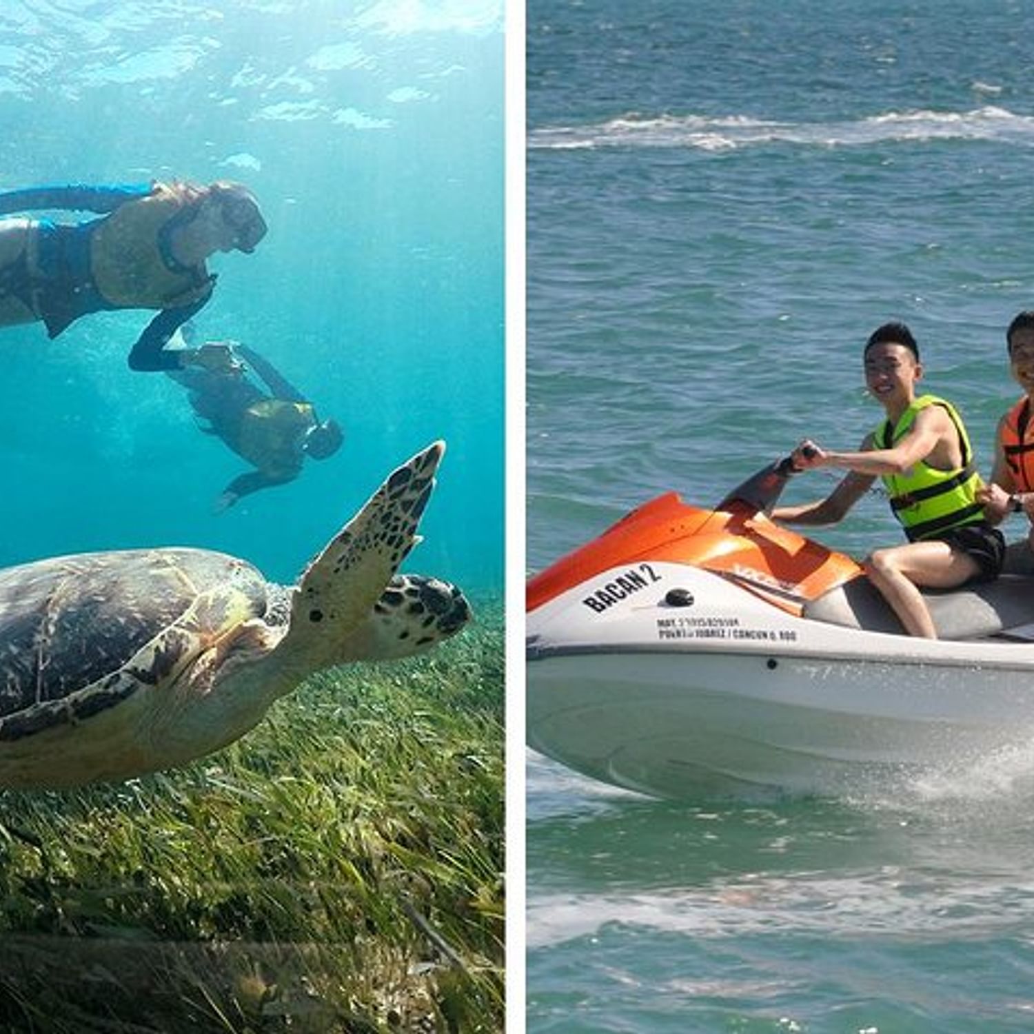 Sea Turtles, Reef, Shipwreck Snorkeling & Jet Ski Combo Tour Mexico