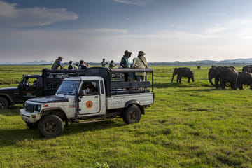 Kandy Adventure Day Tour: Hiking and Wildlife Exploration