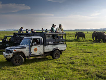 Kandy Adventure Day Tour: Hiking and Wildlife Exploration