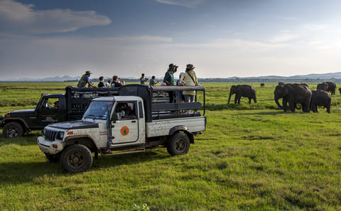 Kandy Adventure Day Tour: Hiking and Wildlife Exploration