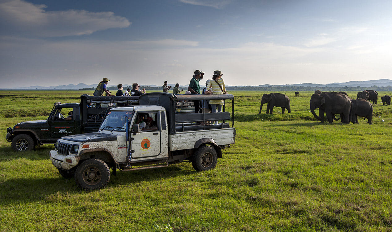 Habarana Adventure Day Tour 3