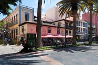 Puerto de la Cruz City Tour with Transfers 9
