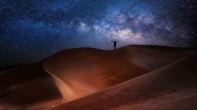 night desert safari