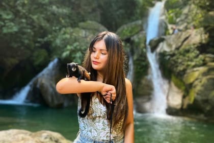 Tin-02 : Veil of the Nymphs Waterfalls – Nature’s Masterpiece