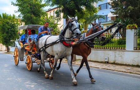 Horse Carriage Tour of Scenic Aswan, Egypt