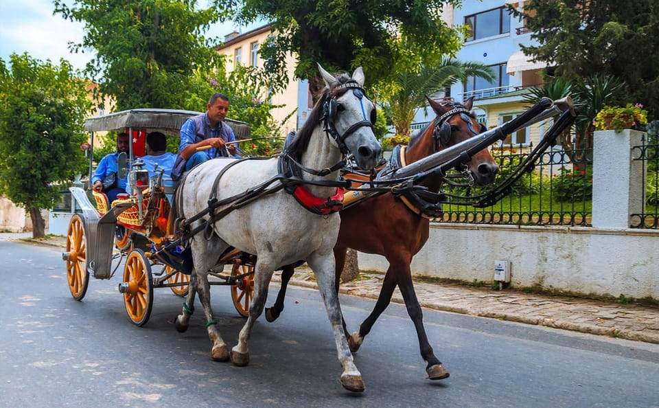 Horse Carriage Tour of Scenic Aswan, Egypt