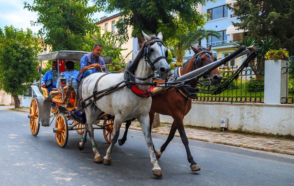 Horse Carriage Tour of Scenic Aswan, Egypt