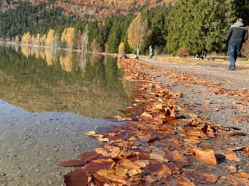 From Brasov: Piatra Craiului National Park 2-Day Guided Trek – Eco-Certified program
