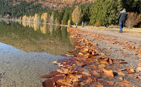 Small-Group Day Trip to the Volcanic Lake from Brașov