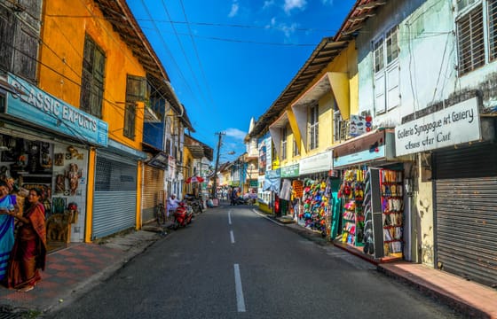 Kerala Tea Estate, Backwater & Marari Beach Tour
