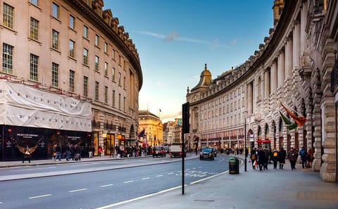 Half-Day Guided Tour of London's Iconic Landmarks