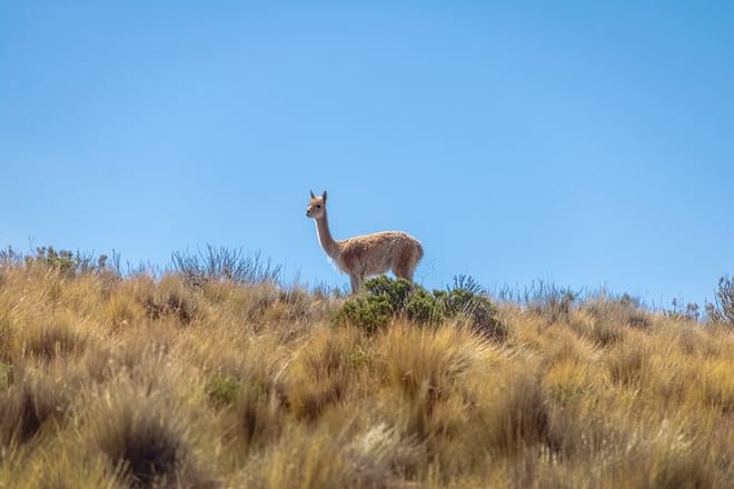 3-Day Escape to Salta: Purmamarca & the Salt Flats 8