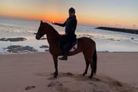 Horse Riding trip Hurghada