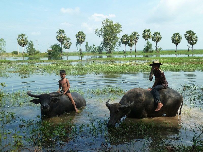 Local Village Walk & Talk Experience in Siem Reap: Connect with Locals