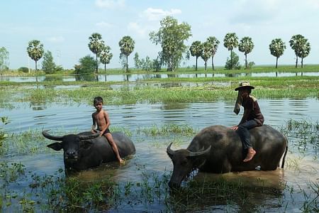 Local Village Walk & Talk Experience in Siem Reap: Connect with Locals