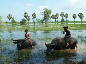 Half Day Local Village Walk & Talk - Siem Reap