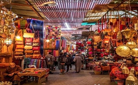 Marrakech Day Tour from Agadir: Explore Medina and Souks