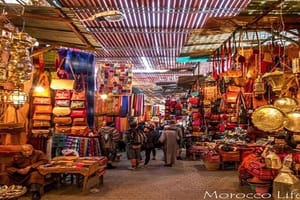 Agadir: Marrakech Guided Day Experience with Medina and Souk