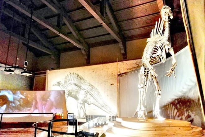 Venice Natural History Museum: Private Tour photo 5