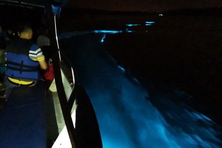 Amazing Fireflies With Blue Tears Watching & Kuala Selangor Tour 5