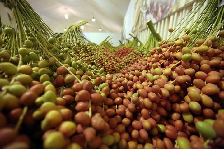 Dates Market Abu Dhabi