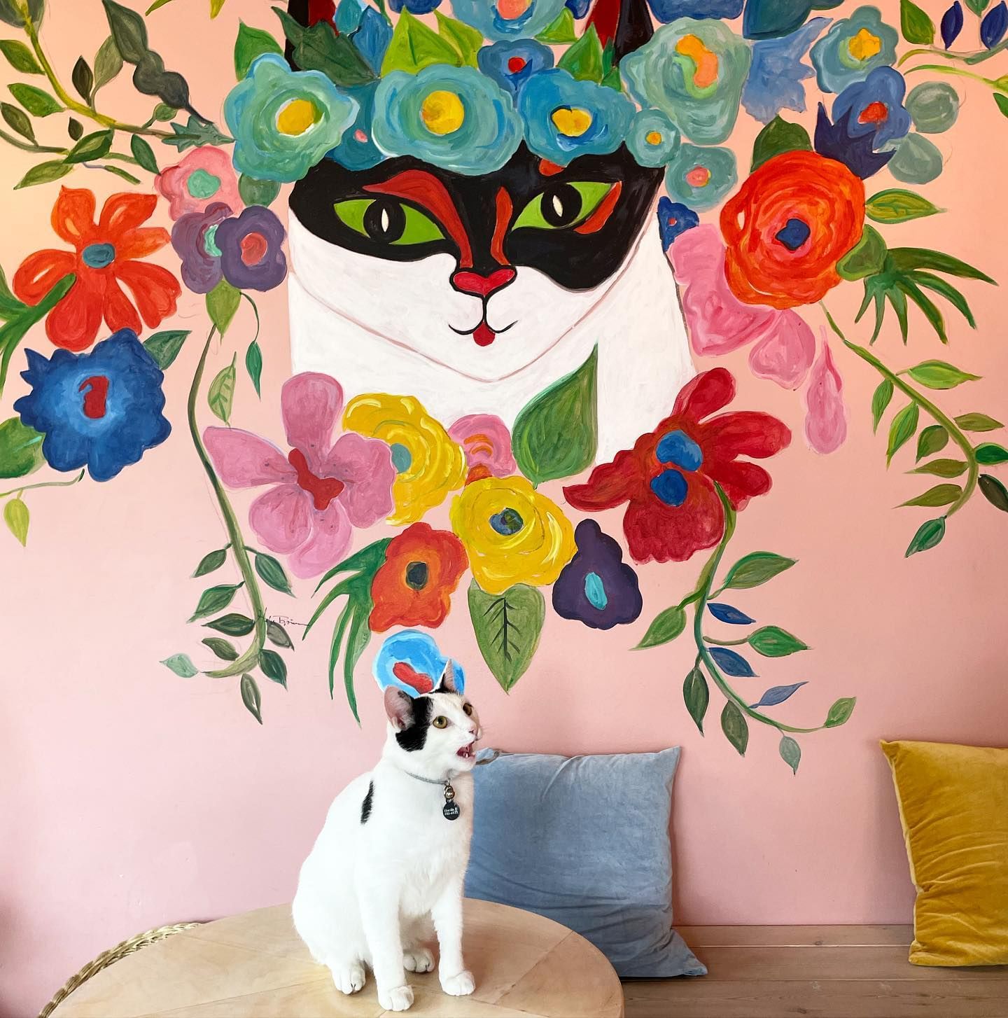 Mjá at the Cat Coffee House