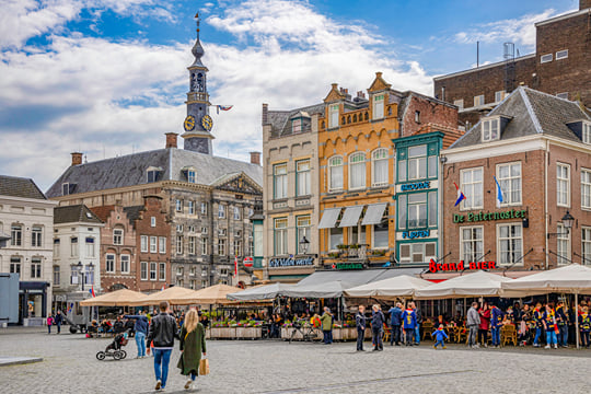Den Bosch in 1 Day - Walking Tour - Audioguide in 7 languages