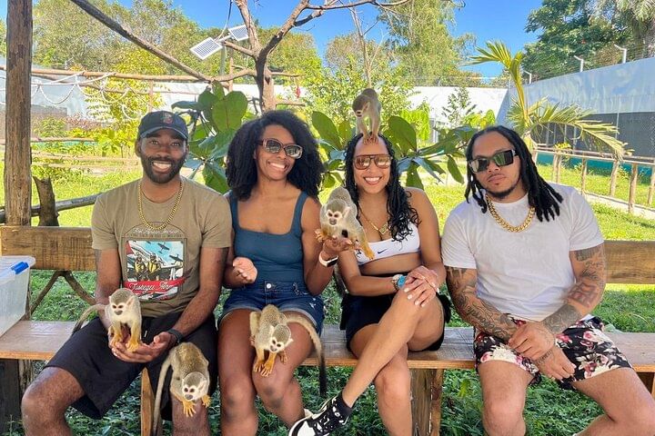 Damajagua Waterfalls and Monkey Private Van Tour