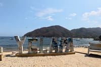Taste of Jalisco: Tour to Taverna de Raicilla from Yelapa! 1