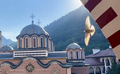 Full Day Cultural Tour of Boyana Church and Rila Monastery from Sofia