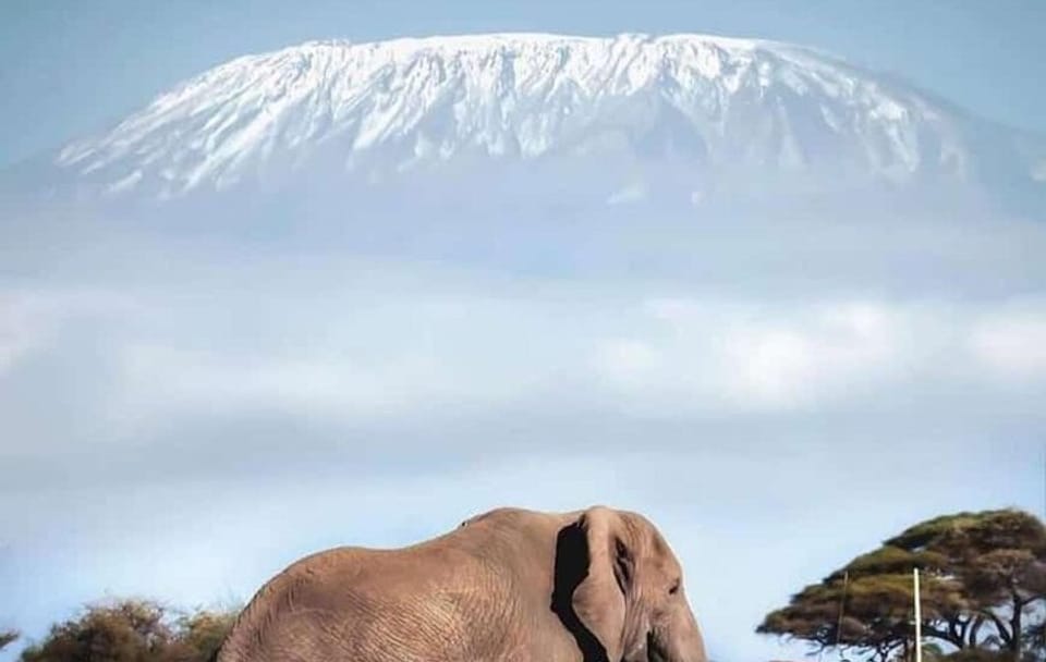 Overnight Safari to Amboseli National Park