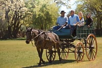 The Most Traditional Fiesta Gaucha in Buenos Aires  4