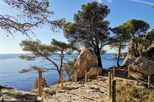 Hiking in the Calanques National park from Marseille