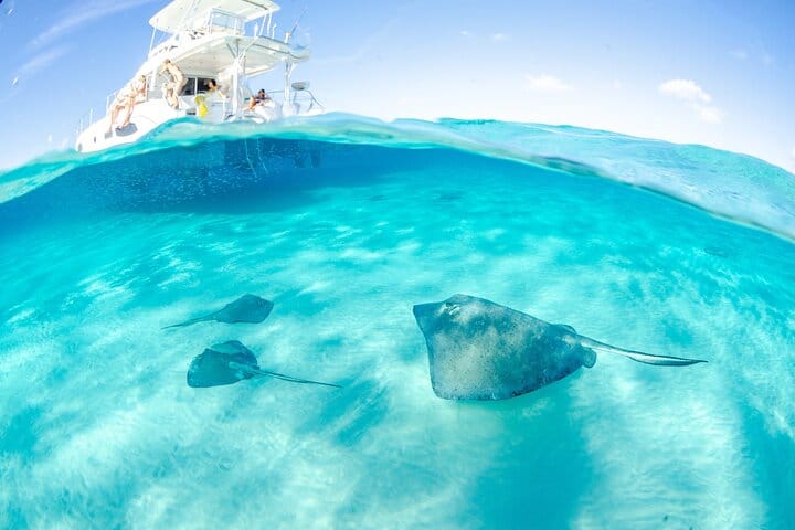 Grand Cayman 3-Stop Adventure: Stingray City & Reef Snorkeling 2