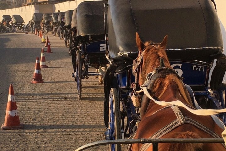 Delight in a 3-Hour Luxor Horse Carriage Tour 6