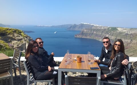Santorini Wine Tasting Tour in Kamari and Megalochori