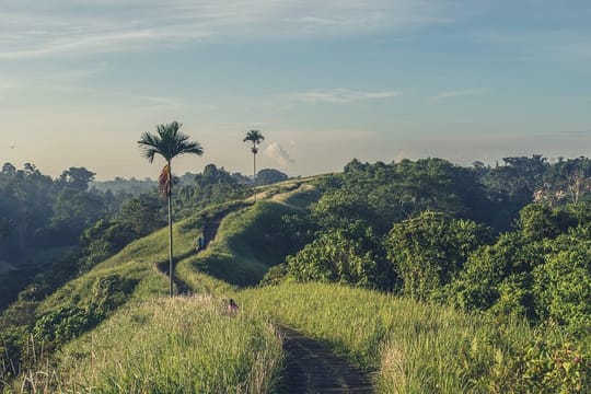 Private Tour : Campuhan Ridge Walk, Rice Terrace and Mount Batur 