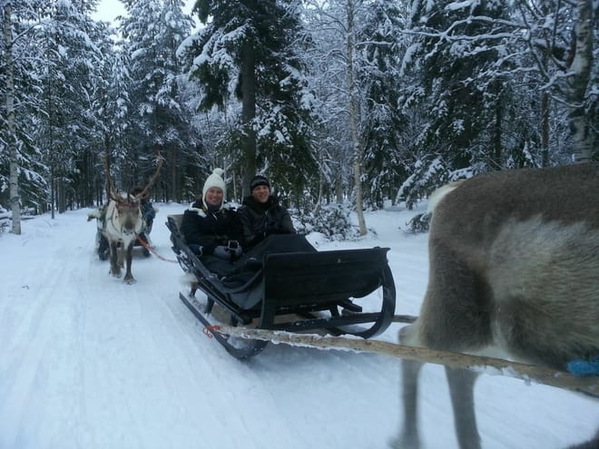 Arctic Skies – Evening Reindeer Safari 2