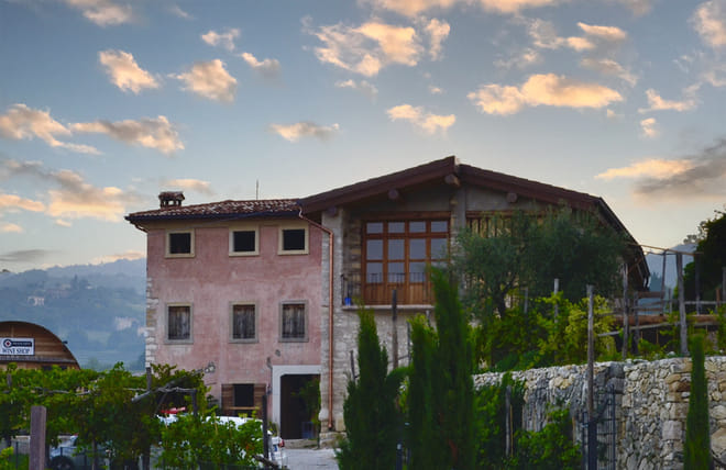 Wine tasting in Valpolicella Classica: the cradle of Amarone 7