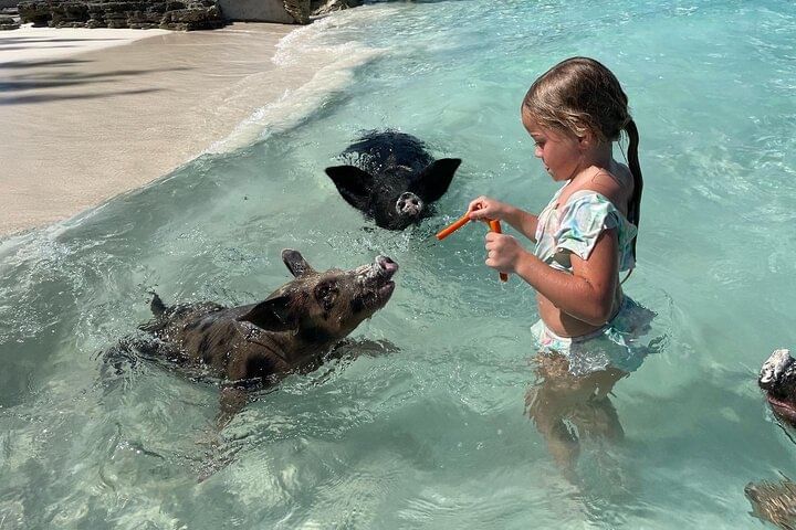 Private Small Group Excursion