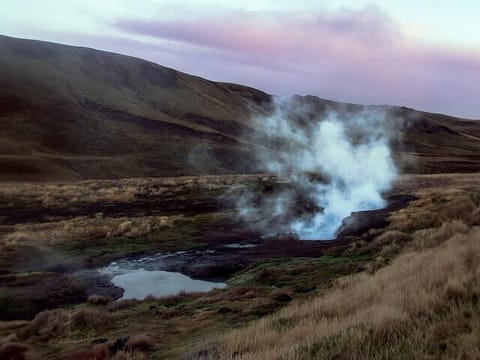 Reykjadalur Hot River Private Tour, photo 4