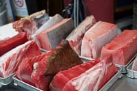 Tsukiji Fish Market Morning Tour Most Fresh Tuna Fish 1
