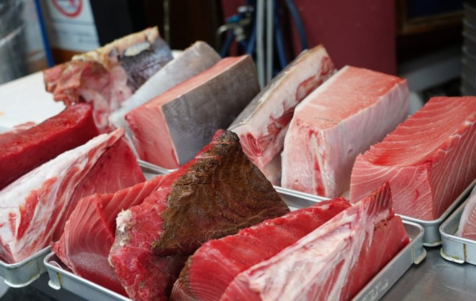 Tsukiji Fish Market Morning Tour Most Fresh Tuna Fish