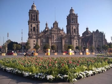 Private Cultural Tour of Mexico City and Anthropology Museum