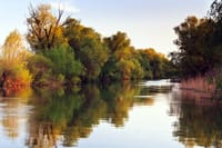 Small-Group San Isidro and Tigre Delta Tour 6