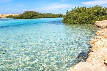 Ras Mohamed & Magic Lake Half-Day Snorkeling Tour – Sharm