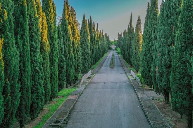 Full-Day Private Georgia Tour with Pick Up from Tbilisi 7