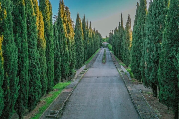 Full-Day Private Georgia Tour with Pick Up from Tbilisi 7